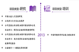 艹肏逼艹非评估类项目发展历程